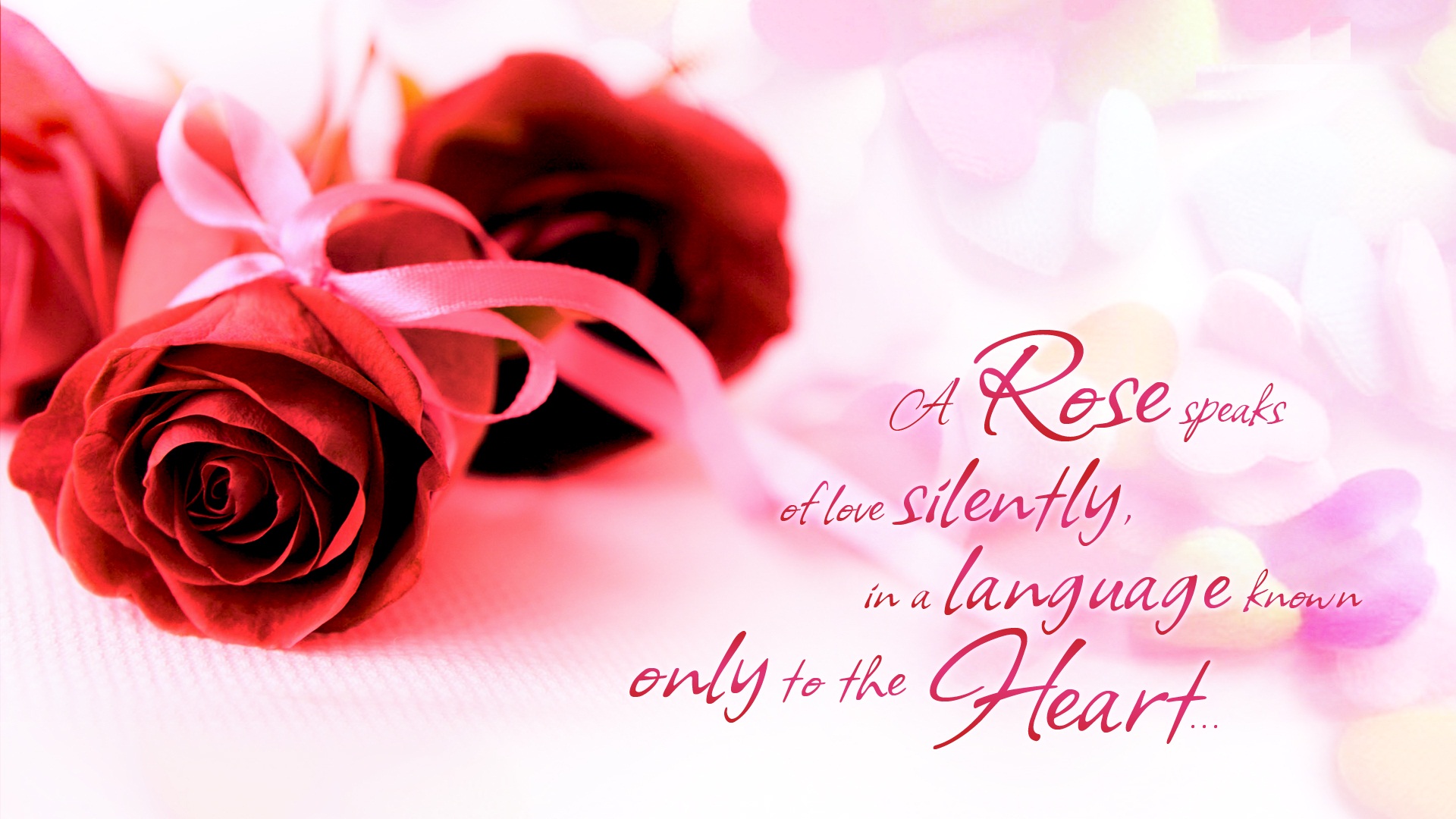 Happy Rose Day Images Photos Pictures Pics Hd Wallpapers